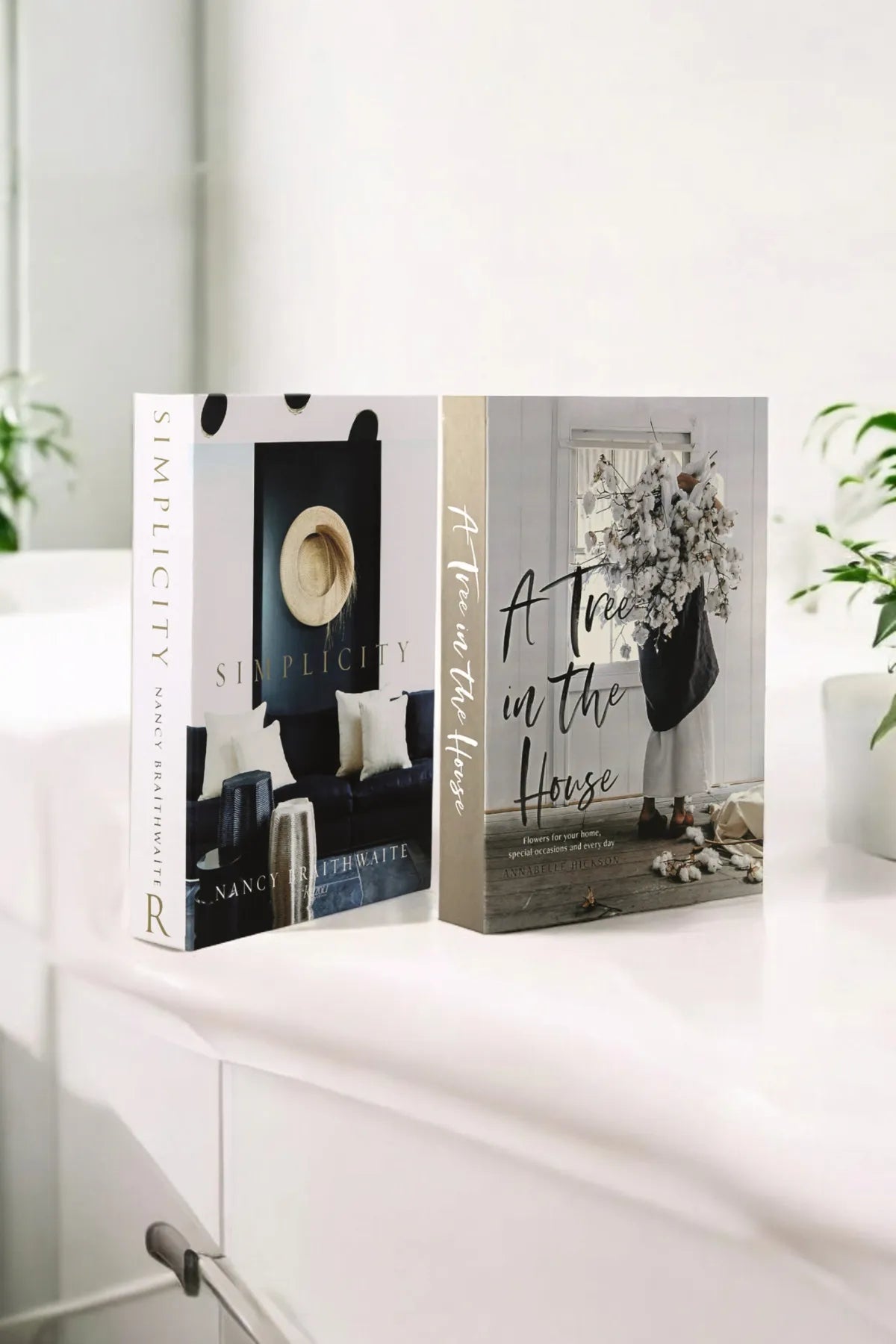 Set of 2 Decorative Book Cover Box