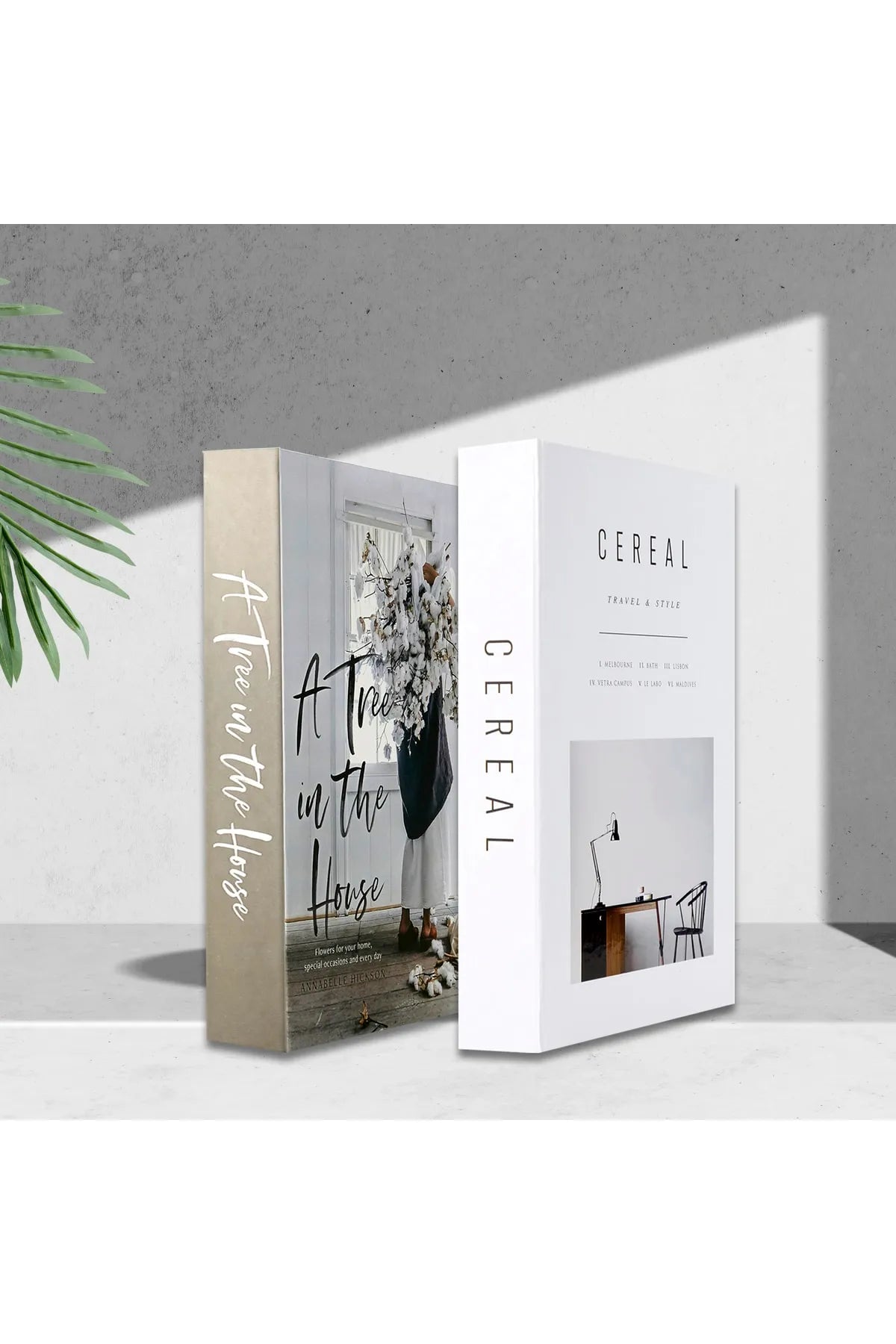 Set of 2 Decorative Book Cover Box