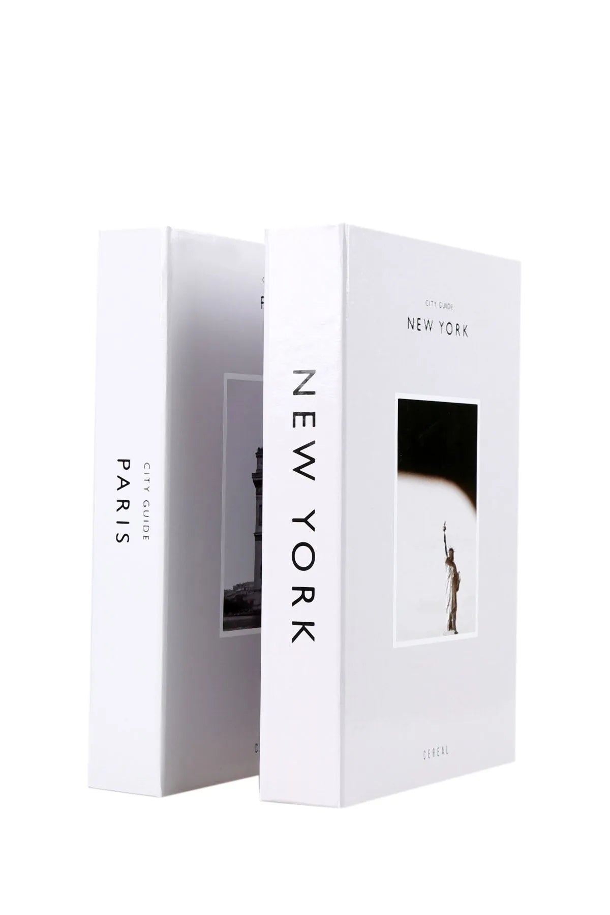 Set of 2 Decorative Book Cover Box