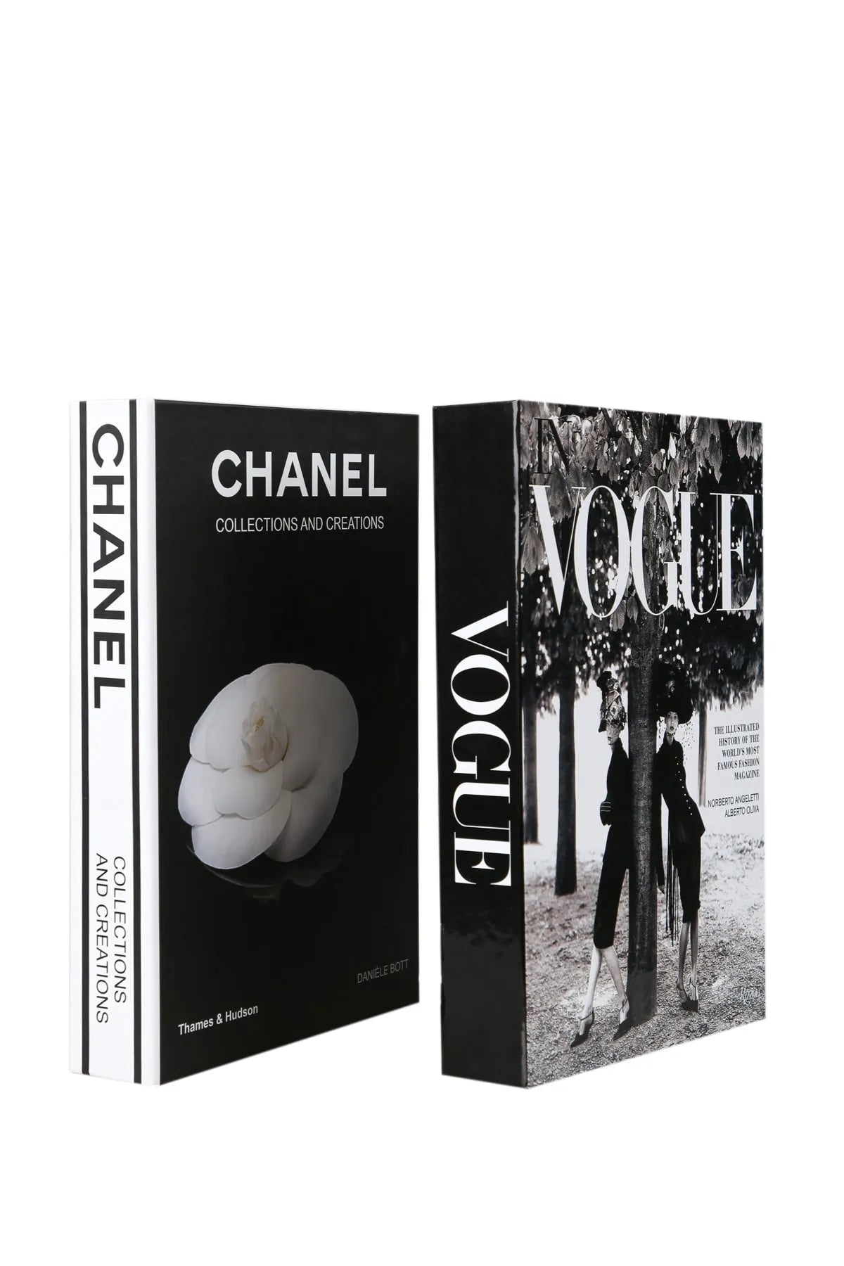 Set of 2 Decorative Book Cover Box
