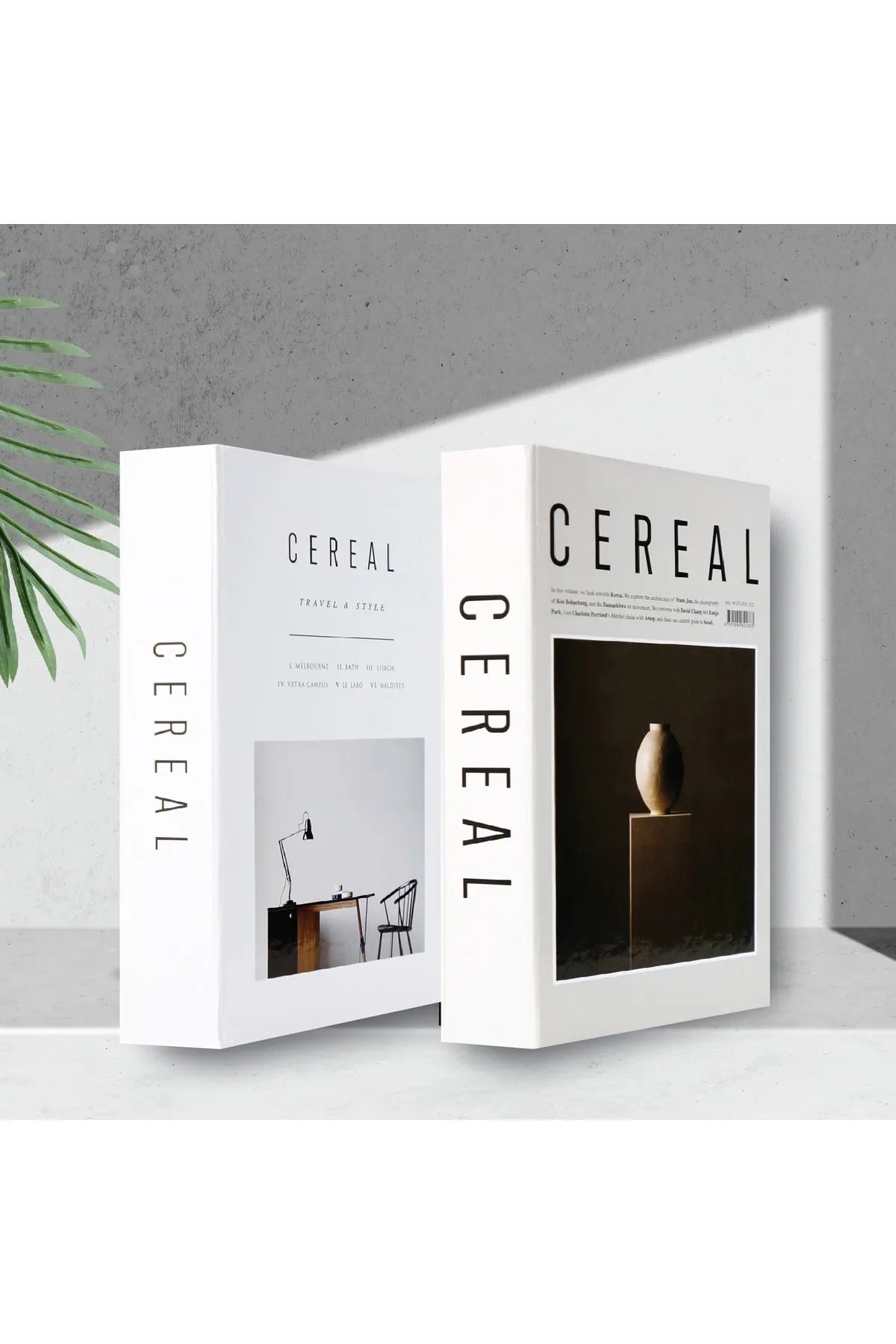 Set of 2 Decorative Book Cover Box