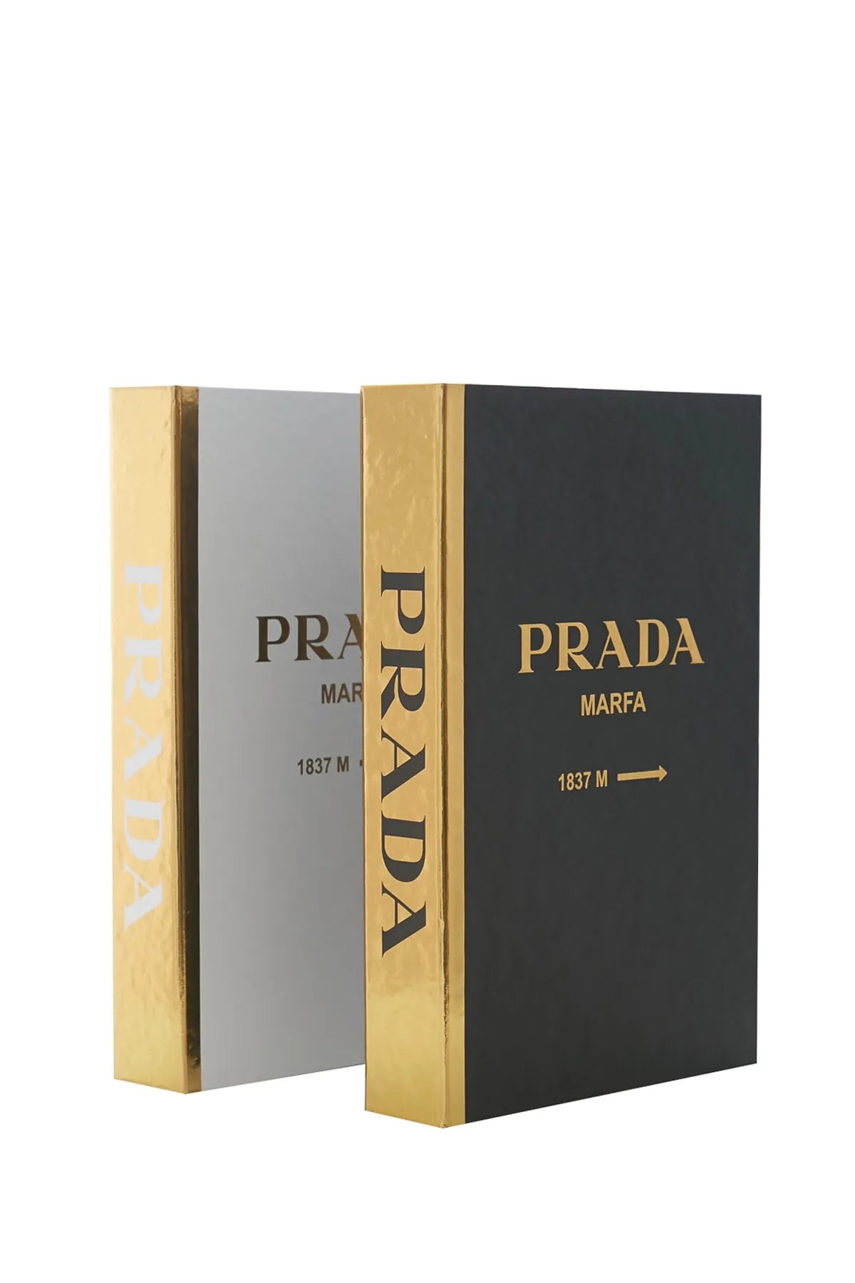 Set of 2 Decorative Book Cover Box