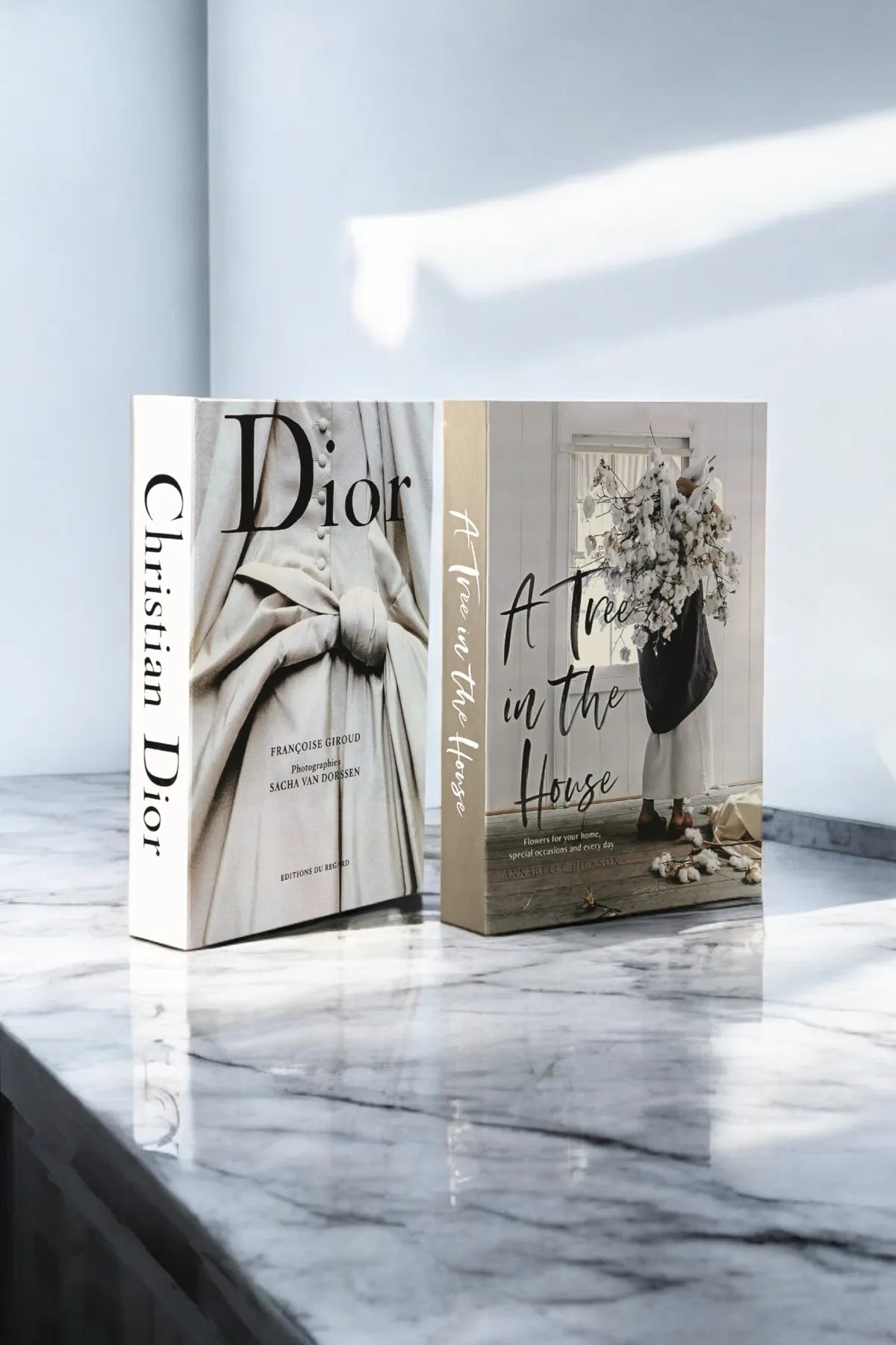 Set of 2 Decorative Book Cover Box