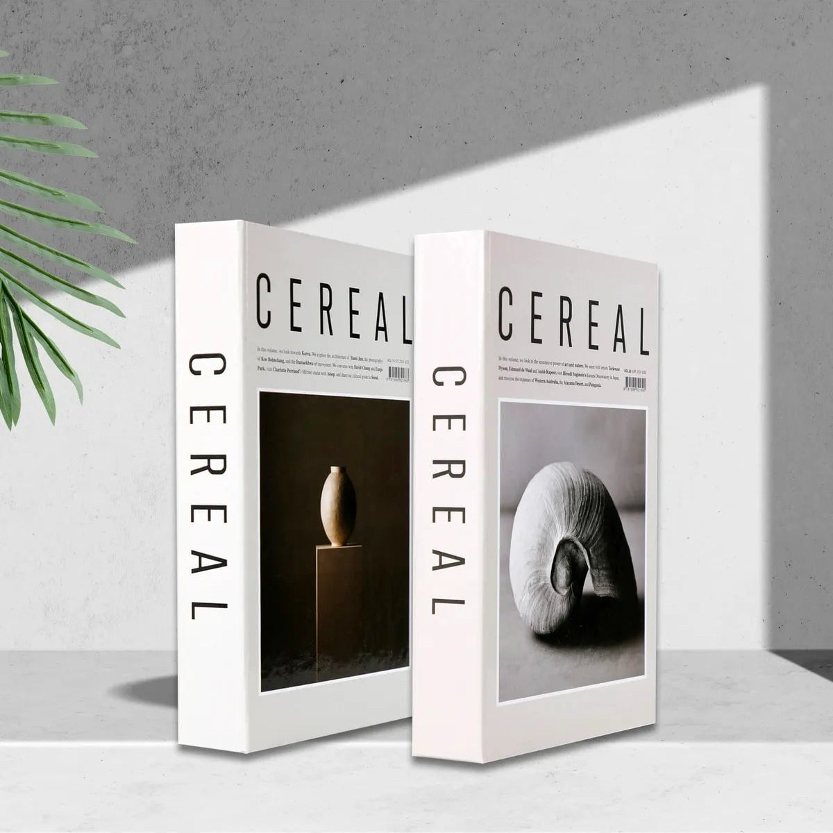 Set of 2 Decorative Book Cover Box