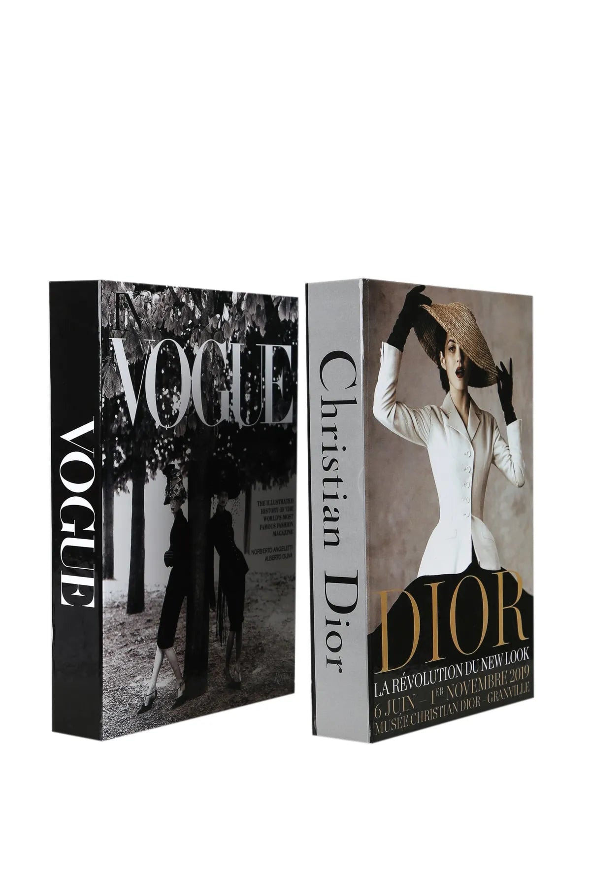 Set of 2 Decorative Book Cover Box