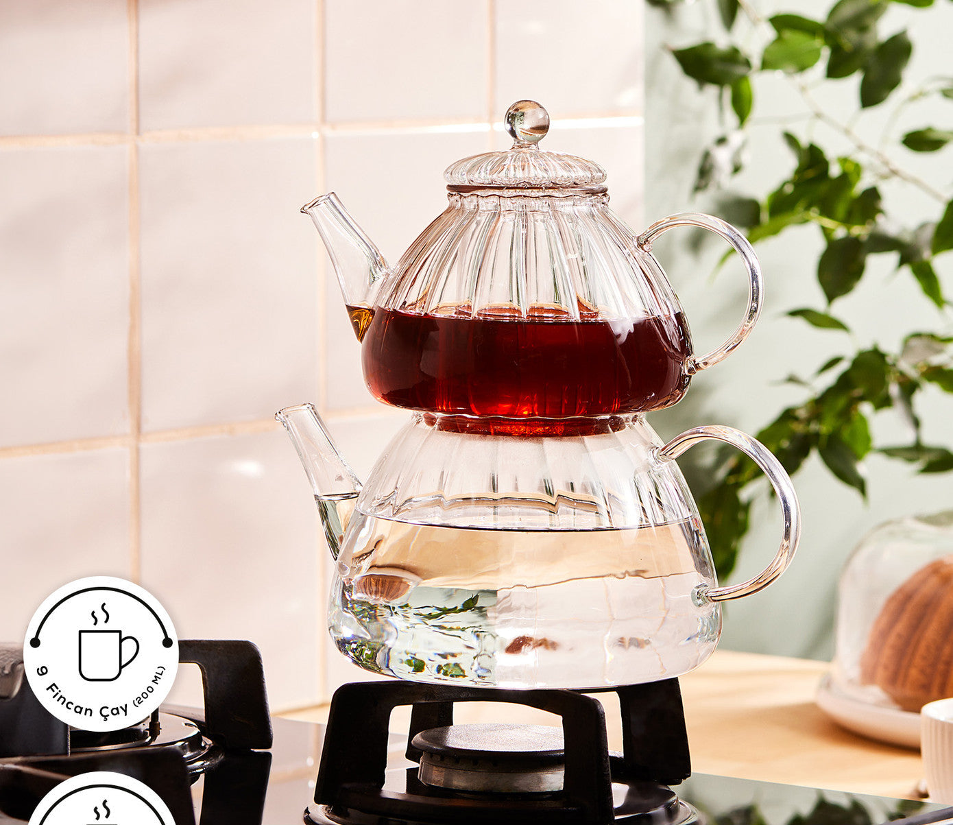 Lori Borosilicate Glass Teapot