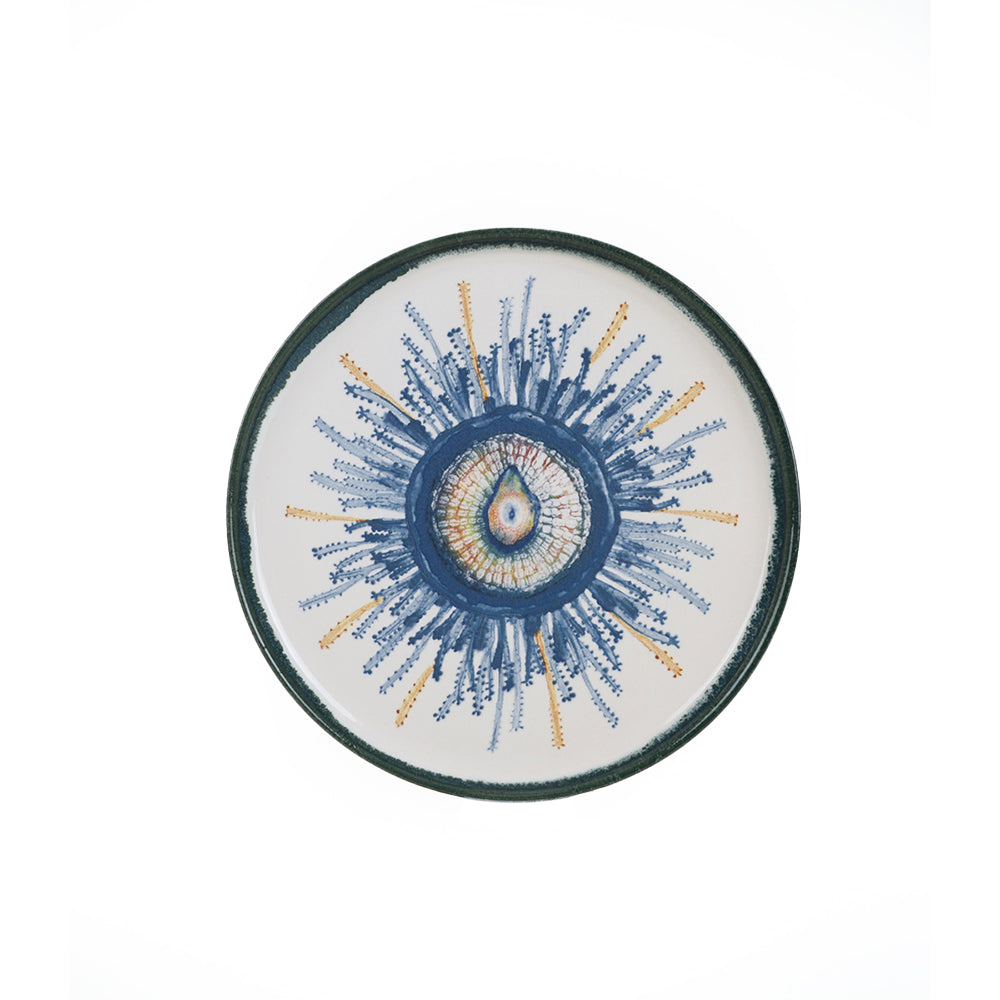 Hydra Nordic Cake Plate 22 Cm 6 Pieces