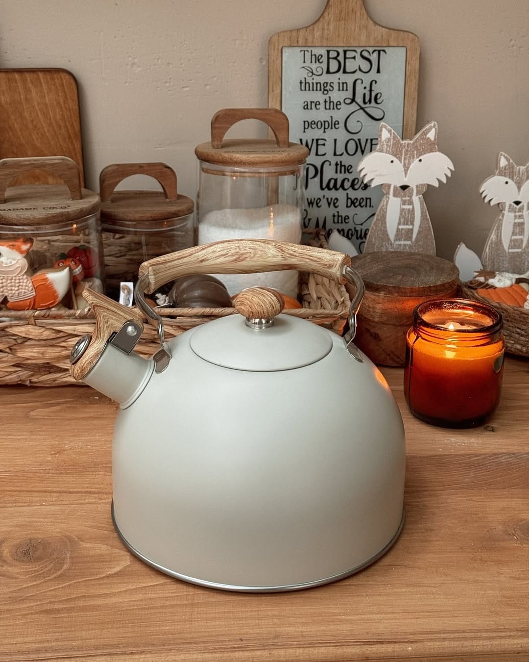 Stainless Steel Pressure Tea Kettle