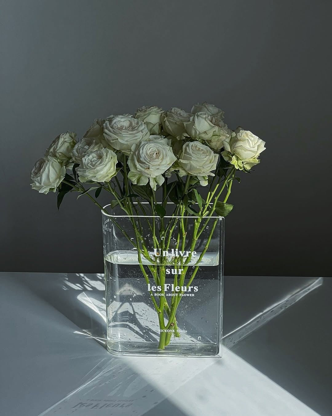 Book Shaped Vase