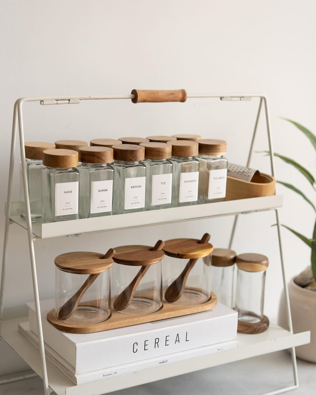 Set of 12 Acacia Lidded Square Spice Jars