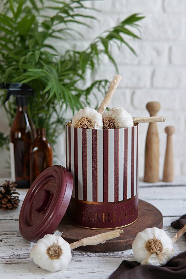 Circus Metal Storage Container Garlic